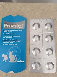 Chanelle Prazitel Worming Tablets for Cats 8 in a Pack 